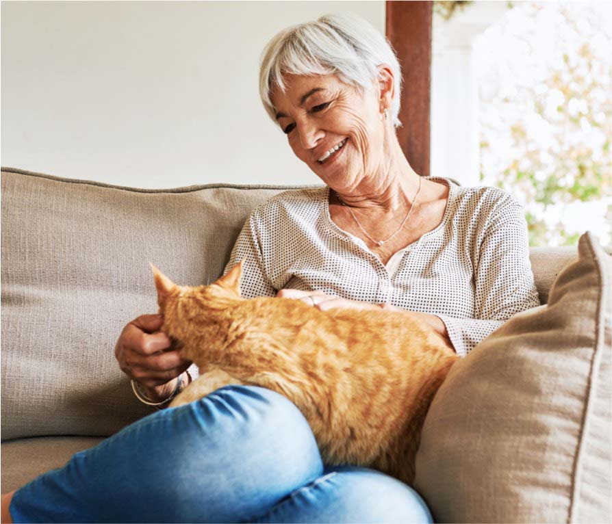 senior-pet-cat senior woman petting her cat on the couch